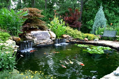 What makes it so great is the health and scenic benefits it provides. Natural and Minimalist Koi Pond with a Waterfall - TUFFARM ...
