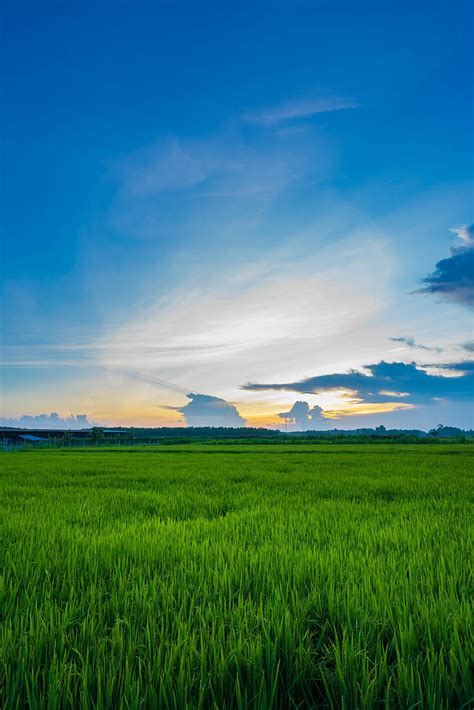 Hd Wallpaper Aerial View Of Green Grass Field Mountain Under Gray Sky