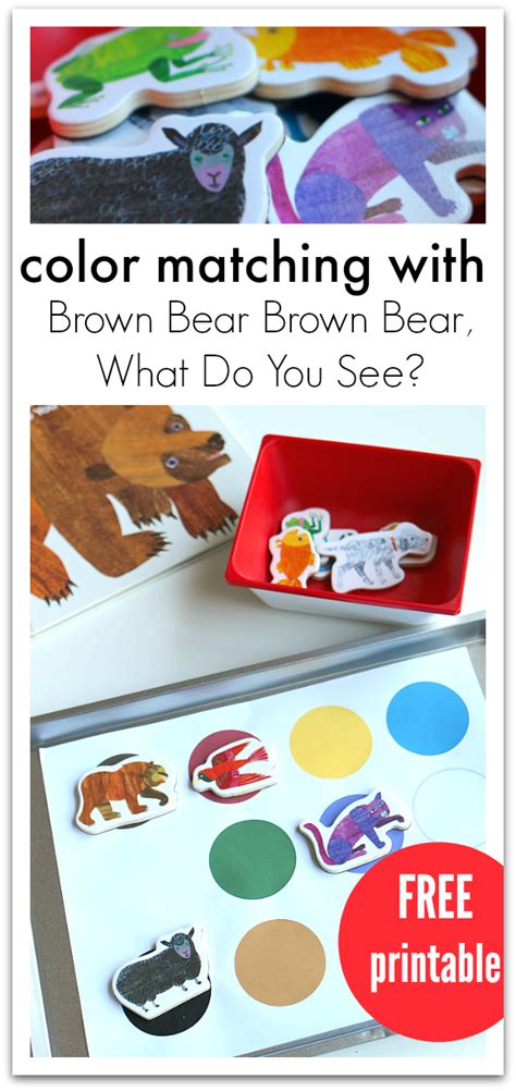 Color Matching Activity For Brown Bear Brown Bear What Do You See