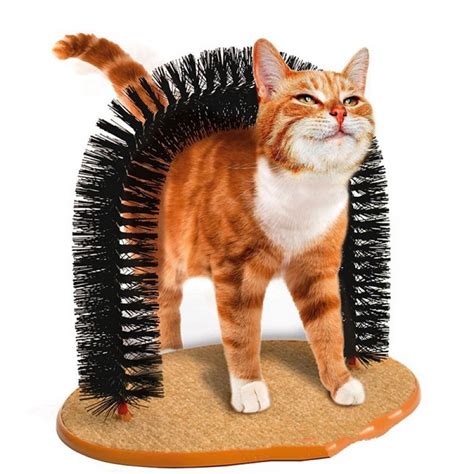 We are currently near our capacity for rescued kittens and cats! Cat's Scratching Arch | Cat brushing, Cat grooming, Cat ...