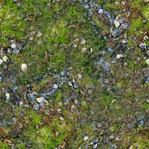 Forest Ground Textures Moss 5png