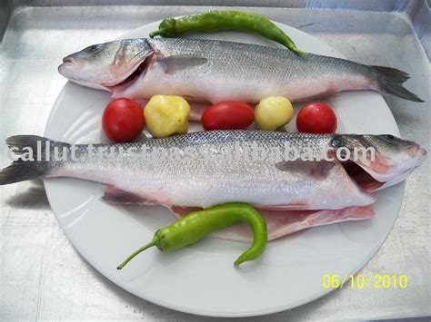 sea bass fresh chilled gutted and descaled turkey price supplier 21food