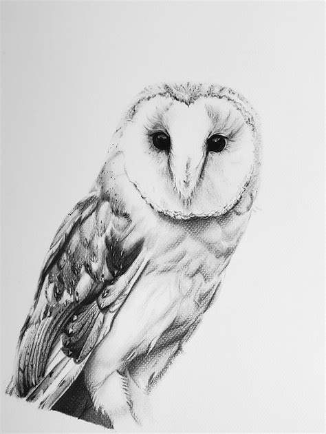 This Is An 11x14in Barn Owl Drawing In Charcoal On Archival Paper The