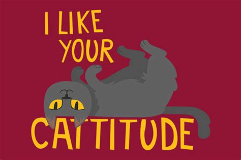 Cat Puns And Jokes That Are Pawsitively Purrfect Redbubble Life