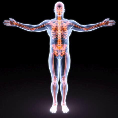 Inflammation Treatment in Charlotte  Holistic Wellness Center