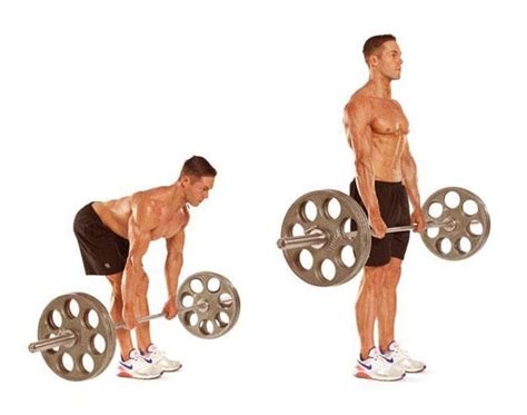 These 5 Types Of Powerful Deadlift Exercises Are Of Great Value For
