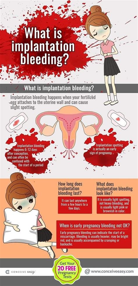 Whats Implantation Bleeding And Is Health Voices Uganda