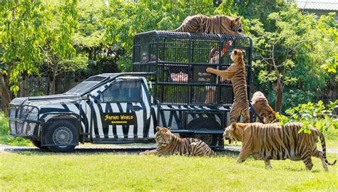 Safari World Bangkok Thailands Famous And Iconic Animal Park