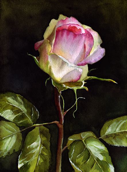 Eden Rose Rosebud Flower Painting In Watercolor Watercolor And Oil