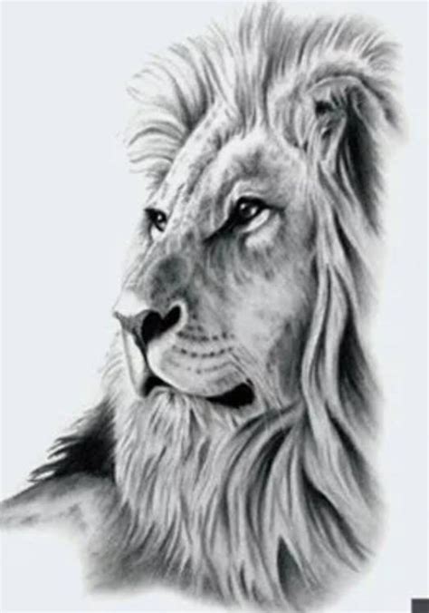 The Lion 2 Temporary Tattoo Etsy Lion Art Lion Sketch Lion Drawing