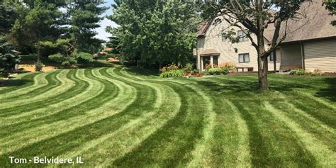 How To Take Care Of Your Northern Lawn Milorganite