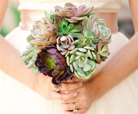 Purple succulent bouquet for yukari | urban succulents. bouquets Archives - Say I Do Succulents