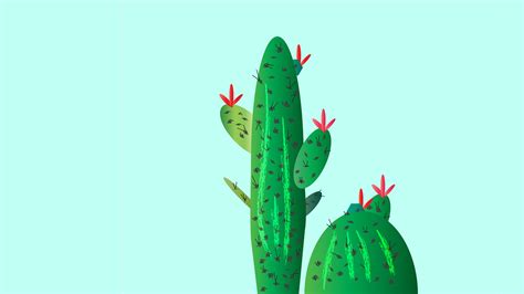 Cactus Wallpaper ·① Download Free Beautiful Wallpapers For