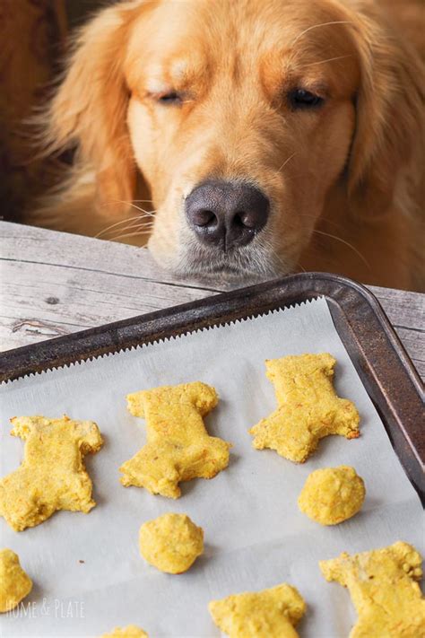 21 Dog Food Recipes For Allergies Wowpooch