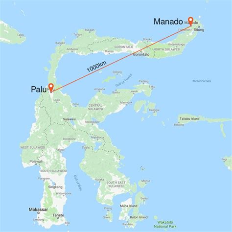 Palu Manado Map Murex Dive Resortsmurex Dive Resorts