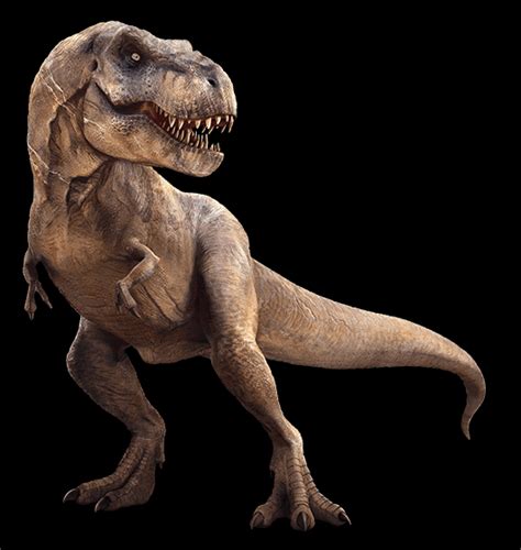 This page needs serious attention! 'Jurassic Park 4' Spoilers: T-Rex Vs. Indominus Rex In ...