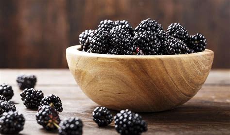 Blackberries 10 Health Benefits Of Blackberries