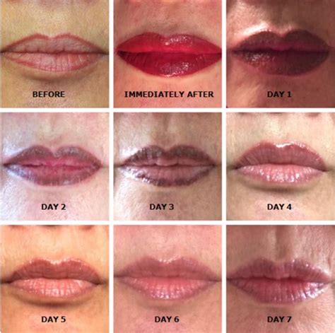 Semi Permanent Makeup Lips Healing Process Saubhaya Makeup