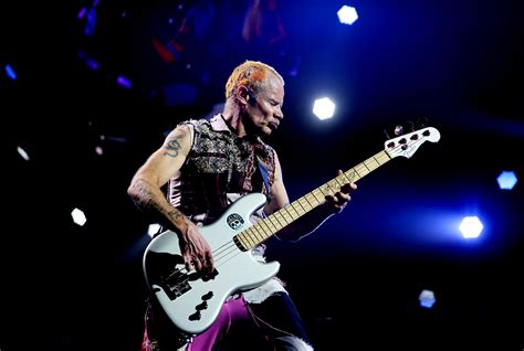 Ranking The Top 25 Bass Players Of All Time Page 23 New Arena