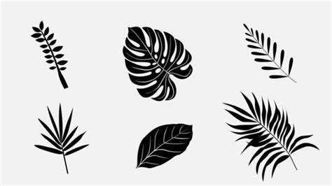 Leaf Vector Art Icons And Graphics For Free Download