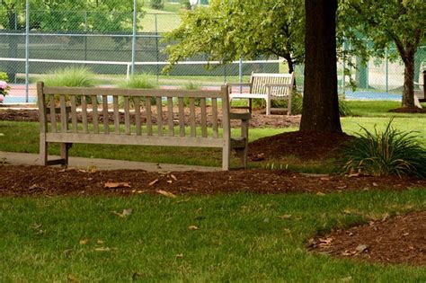 2k Free Download Tranquil Park Bench Relaxing Park Park Bench Park