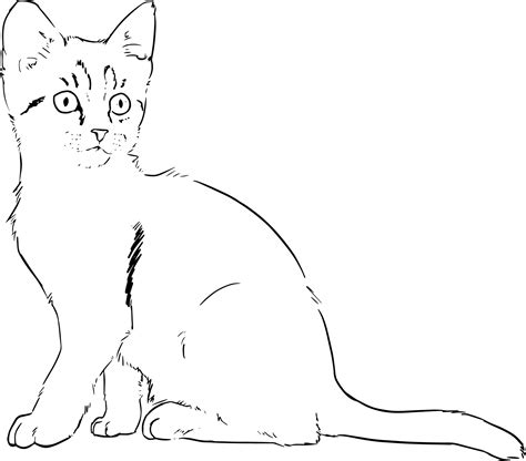 Kitten Lineart Drawing Free Stock Photo Public Domain Pictures