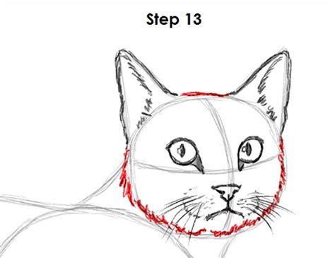 How To Draw A Cat Tabby Video And Step By Step Pictures