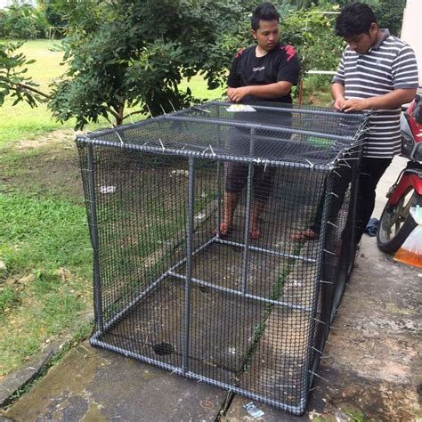 Tapi jaring tu tak sesuai untuk kucing yang ganas. The Reporter - Sangkar kucing DIY. Guna paip pvc dan ...