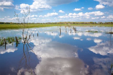 Free Images Angers Flood Wetland Landscape France Blue