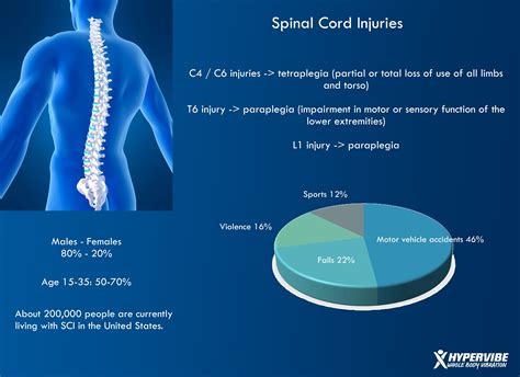 Spinal Cord Injuries Infographic Health Infographic Spinal Injuries Spinal Cord Injury