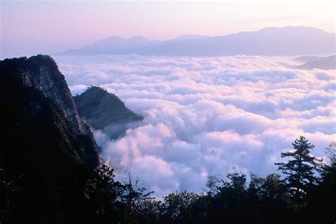 The Taiwan Ali Mountain Cloud Wells Up 3 台灣阿里山雲湧 Add