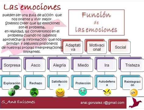 Las 7 Emociones Primarias Cuales Son Tipos Y Funciones Con Ejemplos