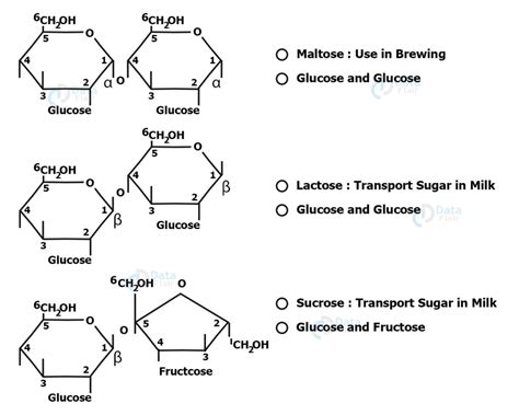 Carbohydrates Classification Sources And Examples Dataflair