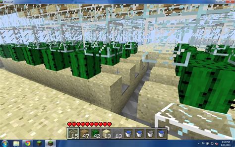 You pretty much just plant a cactus block and wait for it to grow. cactus farm with conveyor belts Minecraft Project