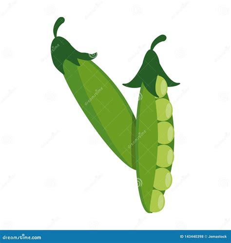 Peas Fresh Vegetables Cartoon Stock Vector Illustration Of Peas