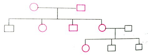 Study The Given Pedigree Chart And Answer The Questions That Follow A
