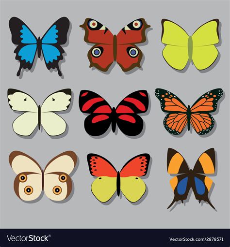Butterfly Collection Royalty Free Vector Image