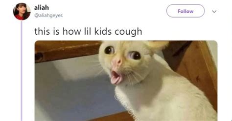 We Cant Stop Thinking About This Coughing Cat Meme
