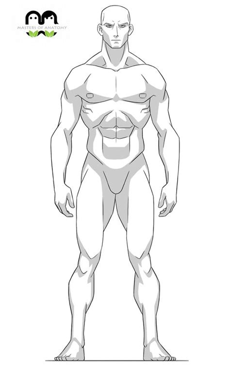 Pin De Janet Chen Em Anatomia Masculina Desenho Corpo Humano Poses