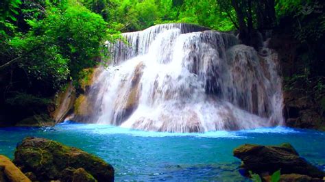 Calming Tropical Rainforest Waterfall Sounds White Noise For Sleeping