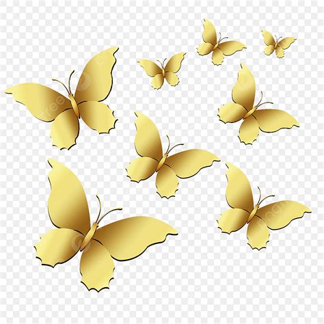 Gradient Butterfly White Transparent Golden Butterflies Goldies