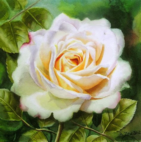 Olympus Digital Camera Watercolor Oil Paintings Of Roses And