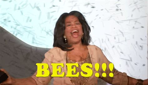 Share the best gifs now >>>. Bees GIF by Team Coco - Find & Share on GIPHY