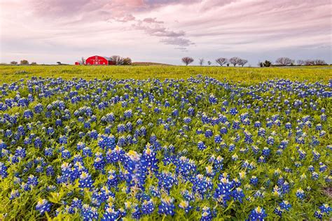 The Ultimate Houston To Austin Road Trip Itinerary Territory Supply
