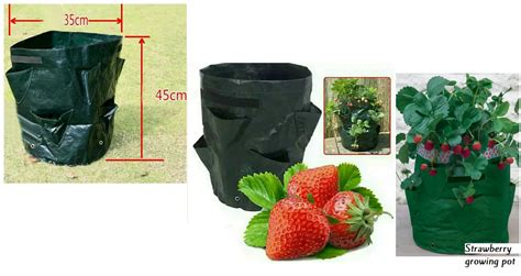 2018 New Arrival 220gsm 11 Gallon Strawberry Planting Grow Bagsgrowing
