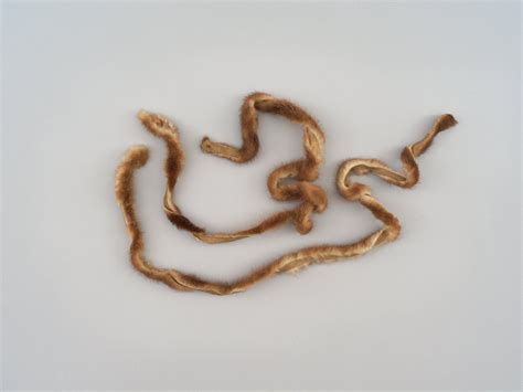 Otter Strip Hair Ties Unknown Gilcrease Museum