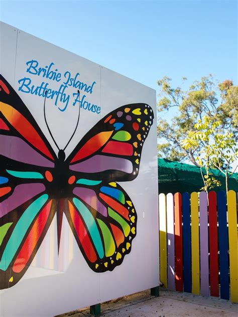 Bribie Island Butterfly House Visit Moreton Bay Region
