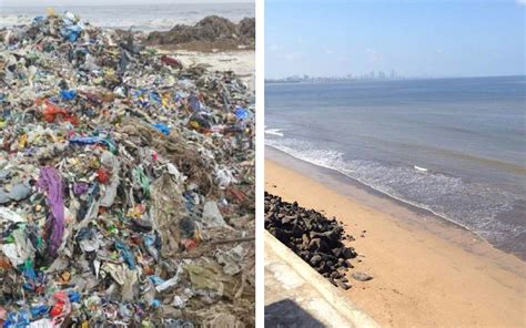 You Wont Believe The Beforeafter Photos Of This Beach That Was Once