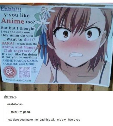 The Reason Im An Undercover Weeb Irl Ranimemes