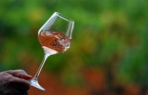 You're Probably Drinking Your Rosé Wrong | | Observer